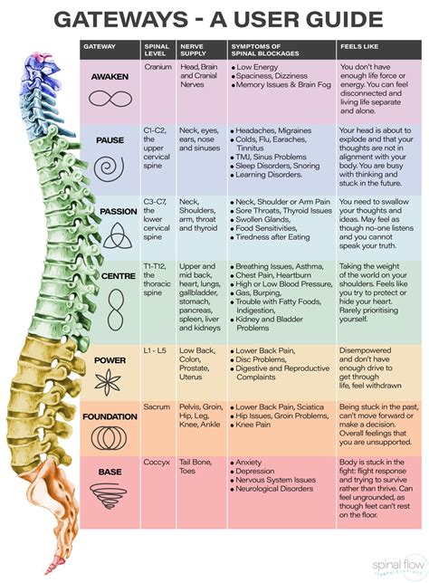 Spine: 试用版下载 .